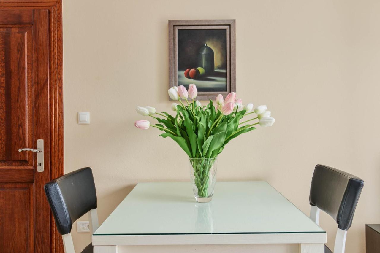 Apartments Djuranovic コトル エクステリア 写真